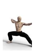 Image result for Differ ENT Kung Fu Styles