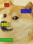 Image result for Much Doge Meme