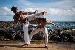 Image result for Capoeira Techniques