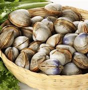 Image result for Bushel of Clams
