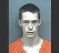 Image result for Maryland teen charged