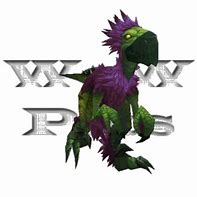 Image result for Raluk Pet WoW