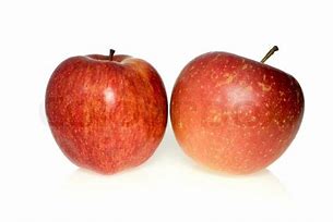 Image result for 2 Red Apple's