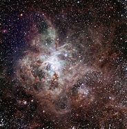 Image result for NGC 2337 Rosette Nebula