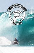 Image result for World Surf League