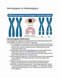 Image result for What Does Homozygous Look Like