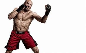 Image result for UFC Fighters List with Photos