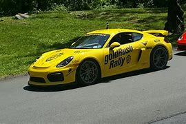 Image result for gold rush rally