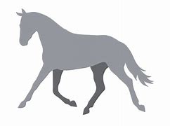 Image result for Horse Trot Animation