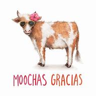 Image result for Muchas Gracias Funny Cards