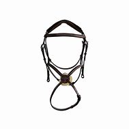 Image result for Figure 8 Bridle