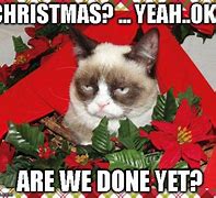 Image result for Funny Christmas Memes Grumpy Cat