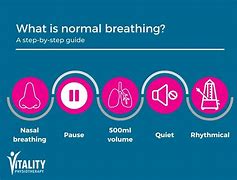 Image result for Normal Breathing Pattern