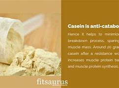 Image result for Casein