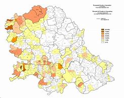 Image result for Vojvodina Ethnic Map