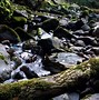 Image result for Four Waterfalls Walk Brecon Beacons