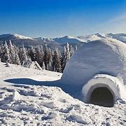 Image result for Real Igloo