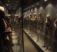 Image result for Mummies Drinking Beer