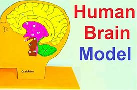 Image result for Making a Analog Human Brain