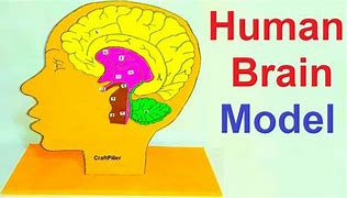 Image result for Human Brain Project