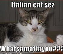 Image result for Italian Cat Meme