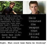 Image result for Peeta vs Gale Memes