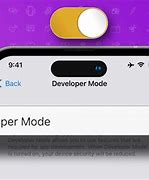 Image result for Developer Options iPhone