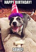 Image result for Happy Birthday Dawg