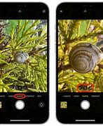 Image result for Which One Is the Macro Camera in iPhone 13