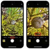Image result for Professional iPhone Photography