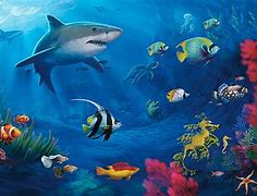 Image result for HD Fish Wallpaper 1920X1080