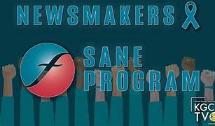 Image result for The Newsmakers by Lis Wiehl