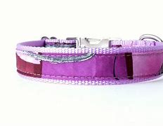 Image result for Husky Collar