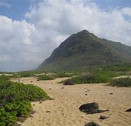 Image result for Henry Silva Waianae