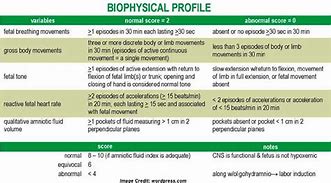 Image result for USG Interpretation iOS Chart