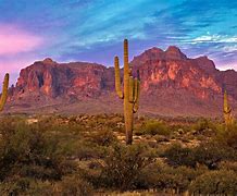 Image result for Arizona Desert Photography