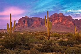 Image result for Sonoran Desert AZ