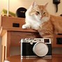 Image result for Fujifilm X100 Review