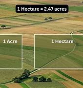 Image result for What Is a Hectare