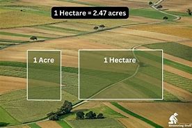 Image result for What Is a Hectare
