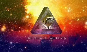 Image result for Sloth in Space Wall Art