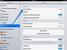 Image result for Safari Settings iPad