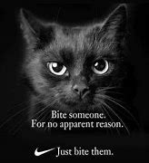 Image result for Distorted Black Cat Meme
