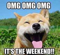 Image result for weekend memes dog