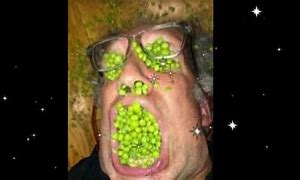 Image result for Peas to Meet You Meme