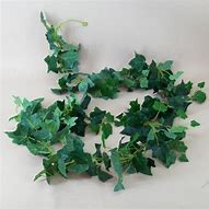 Image result for Artificial Ivy Examples