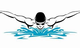 Image result for Icon Butterfly Swim