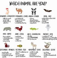 Image result for Animal That Represents Me