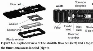 Image result for Minion Flow Cell