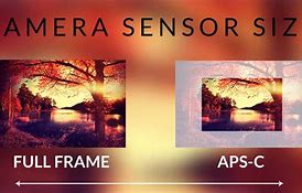 Image result for 14 Pro Camera Sensor